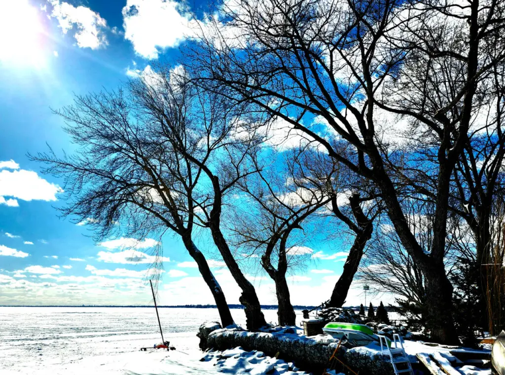 71469 208942 O3aEPq u1nxY49ipwQryIvDIb1SixXhxvvnKW5kHOUg 67b784fe5d349.jpg