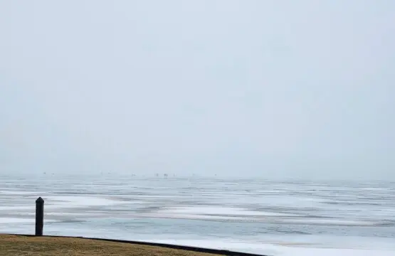 71469 208942 WXmbUCt3SGtmWTIiJqtmPApkGMpzmDr5UD5JkG4 5t8 67b784aba2815.jpg