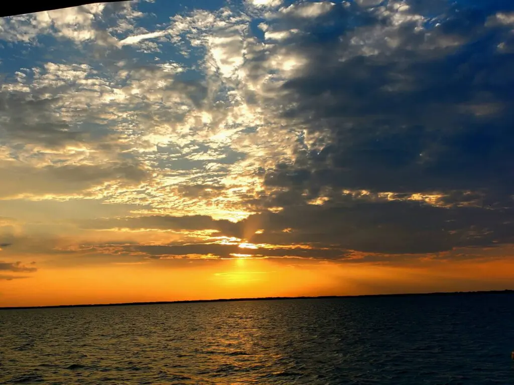 71469 208942 delyptpb6jmuLK5PBp9 s8N1SwhkjjJtZxqWPMOnoEc 65a1acfa8586f.jpg