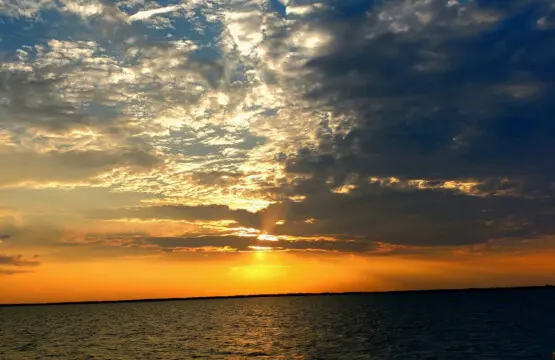 71469 208942 delyptpb6jmuLK5PBp9 s8N1SwhkjjJtZxqWPMOnoEc 65a1acfa8586f.jpg