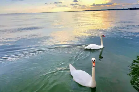 71469 208942 ho0MipE x S7bDiT958NRbLlJadQXMvwWsLlyw972 Y 6543bf0d35723.jpg