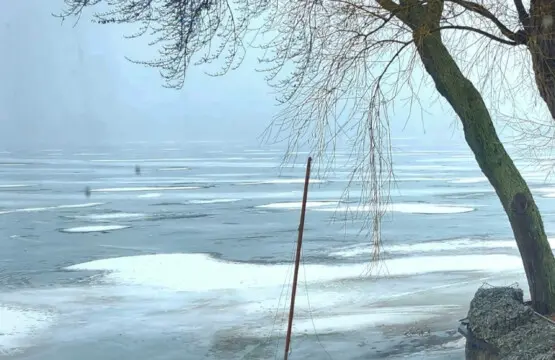 71469 208942 veN3VKe sPFiDtH 8bI7Xp3Uo4RYkL Tez rhFJ8qN4 67b784c002031.jpg