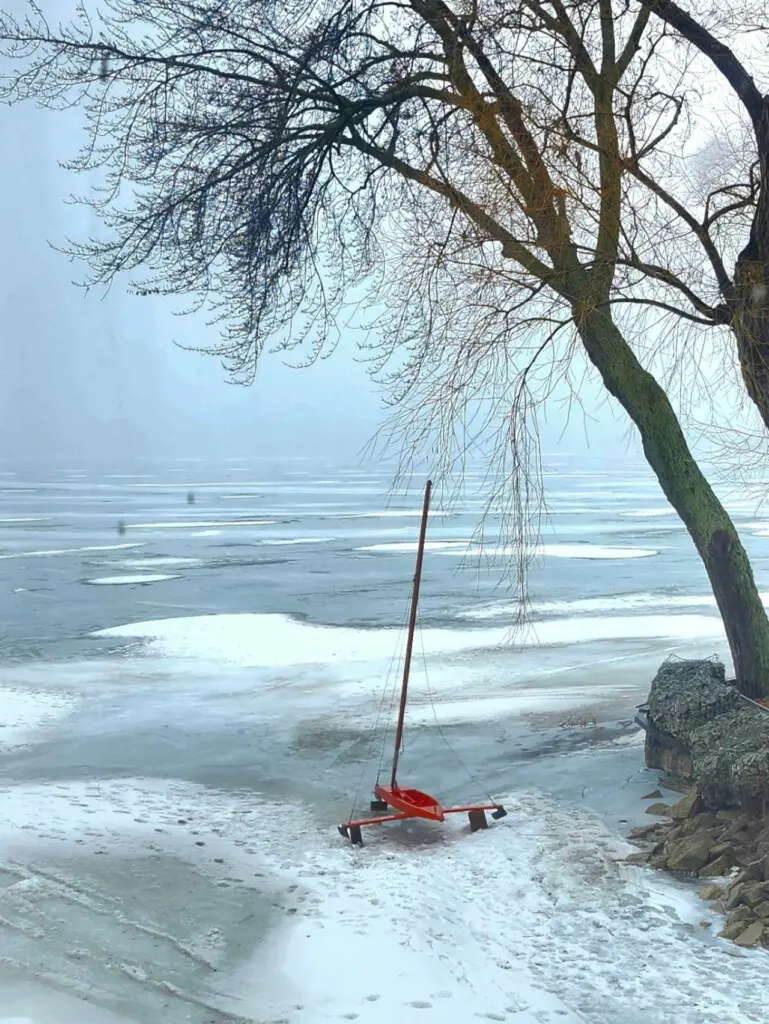 71469 208942 veN3VKe sPFiDtH 8bI7Xp3Uo4RYkL Tez rhFJ8qN4 67b784c002031.jpg